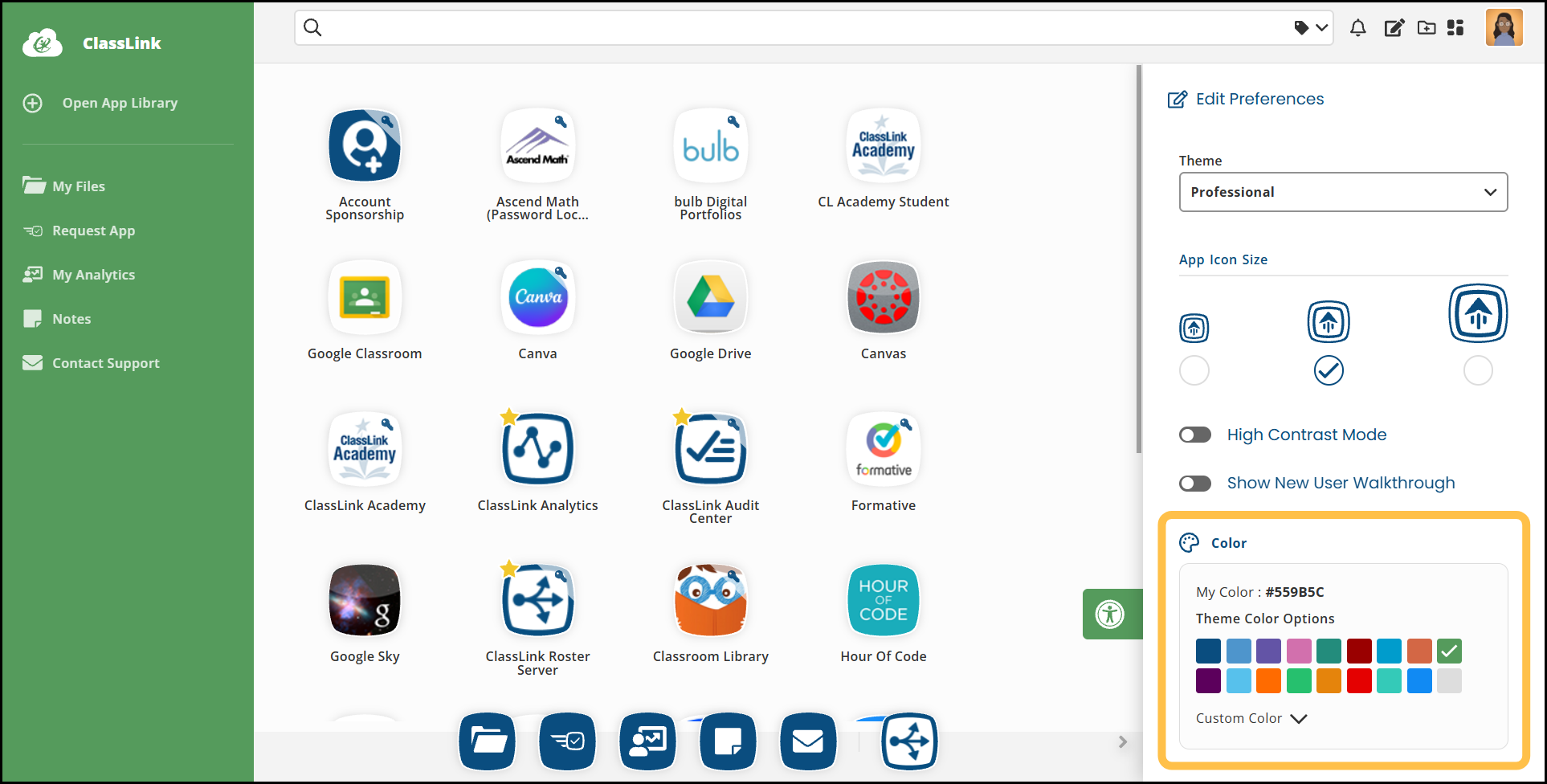 Professional Theme Edit Preferences: Select a theme color